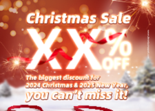 1462C53990 and 1462C53998 Diesel Pump Plunger Promotion On Christmas