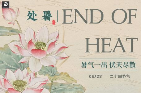 Diesel Pump Part - News