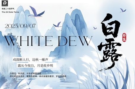 Diesel Pump Part - News