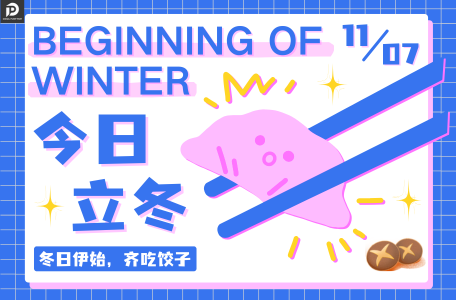 Embrace the Lidong with F019D04036 Diesel Pump Plunger Deals!