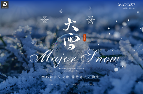 Score Big on F00F0P1503 Diesel Pump Plunger This Major Snow