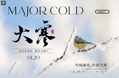 Major Cold Arrives, 0928400005 Diesel Pump Metering Unit Special Offer