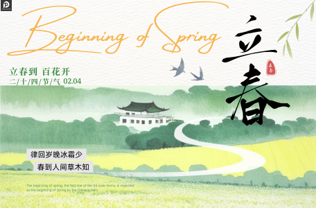 Diesel Pump Transfer Pump Technical File